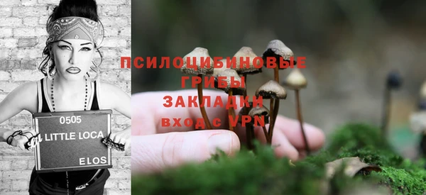 PSILOCYBIN Алексеевка