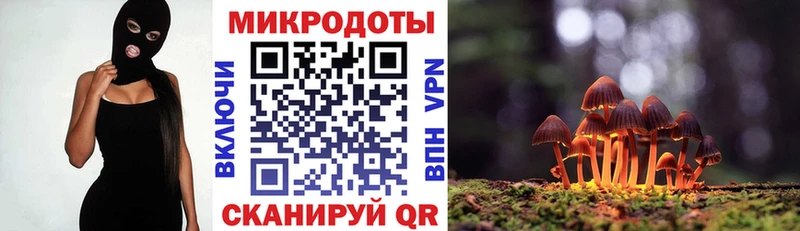 купить наркотик  Динская  Псилоцибиновые грибы ЛСД 