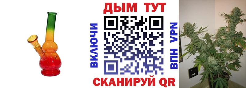 где можно купить наркотик  Динская  Шишки марихуана семена 